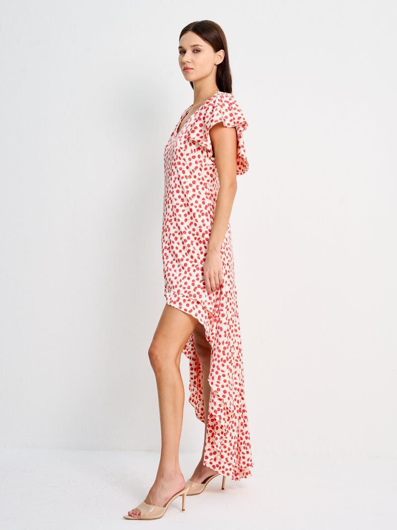 DORITA DRESS - PRINTED RED FLOWERS ON CREAM