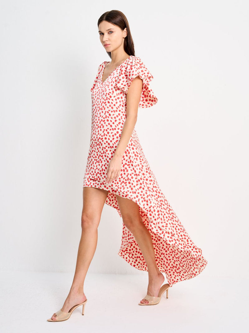 DORITA DRESS - PRINTED RED FLOWERS ON CREAM